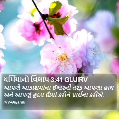 યર્મિયાનો વિલાપ 3:41 GUJIRV Bible Verse Image