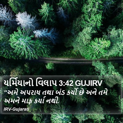 યર્મિયાનો વિલાપ 3:42 GUJIRV Bible Verse Image