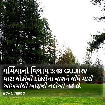 યર્મિયાનો વિલાપ 3:48 GUJIRV Bible Verse Image