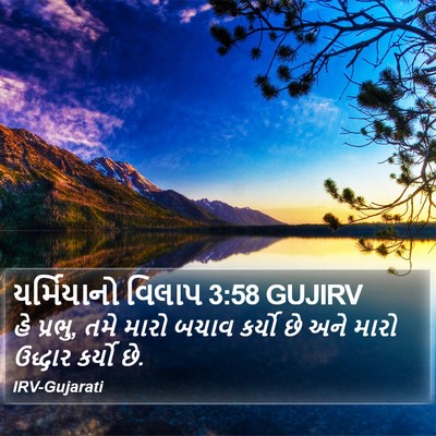 યર્મિયાનો વિલાપ 3:58 GUJIRV Bible Verse Image