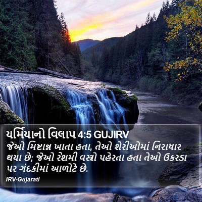 યર્મિયાનો વિલાપ 4:5 GUJIRV Bible Verse Image
