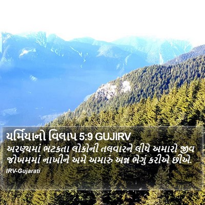 યર્મિયાનો વિલાપ 5:9 GUJIRV Bible Verse Image