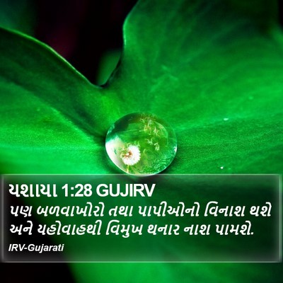 યશાયા 1:28 GUJIRV Bible Verse Image