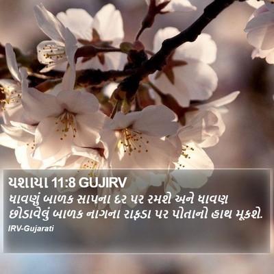 યશાયા 11:8 GUJIRV Bible Verse Image