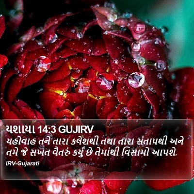 યશાયા 14:3 GUJIRV Bible Verse Image