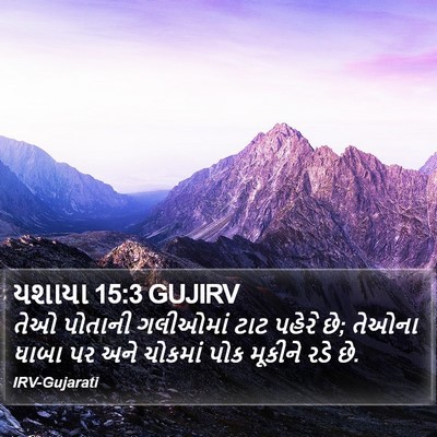 યશાયા 15:3 GUJIRV Bible Verse Image