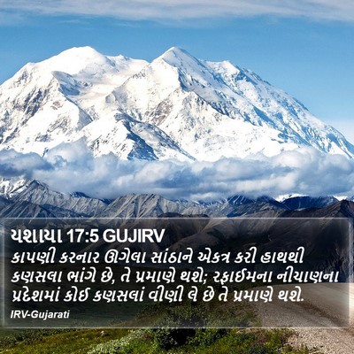 યશાયા 17:5 GUJIRV Bible Verse Image