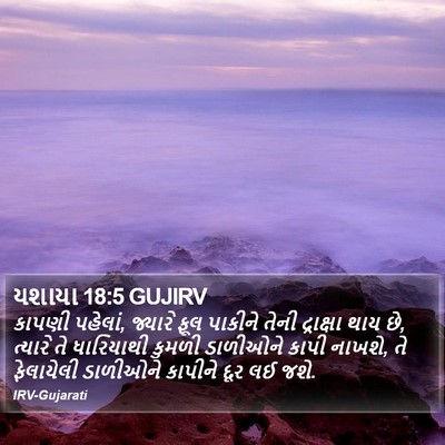 યશાયા 18:5 GUJIRV Bible Verse Image