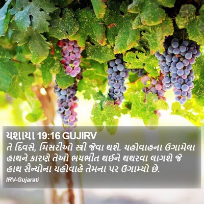 યશાયા 19:16 GUJIRV Bible Verse Image