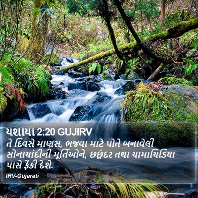 યશાયા 2:20 GUJIRV Bible Verse Image
