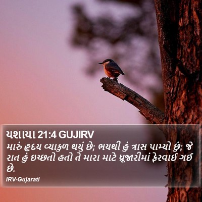 યશાયા 21:4 GUJIRV Bible Verse Image