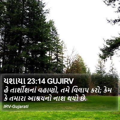 યશાયા 23:14 GUJIRV Bible Verse Image