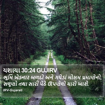 યશાયા 30:24 GUJIRV Bible Verse Image