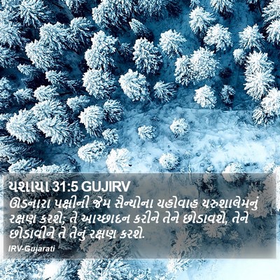 યશાયા 31:5 GUJIRV Bible Verse Image