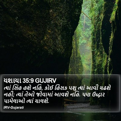 યશાયા 35:9 GUJIRV Bible Verse Image