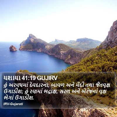 યશાયા 41:19 GUJIRV Bible Verse Image