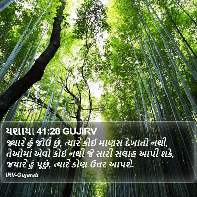 યશાયા 41:28 GUJIRV Bible Verse Image