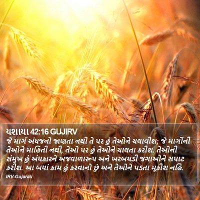 યશાયા 42:16 GUJIRV Bible Verse Image