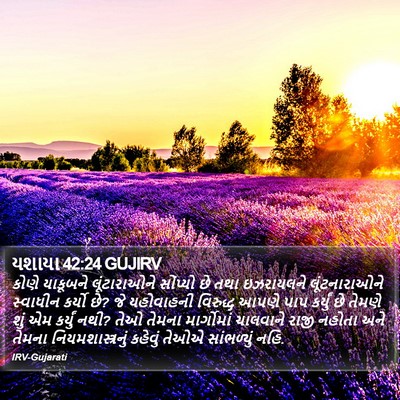 યશાયા 42:24 GUJIRV Bible Verse Image