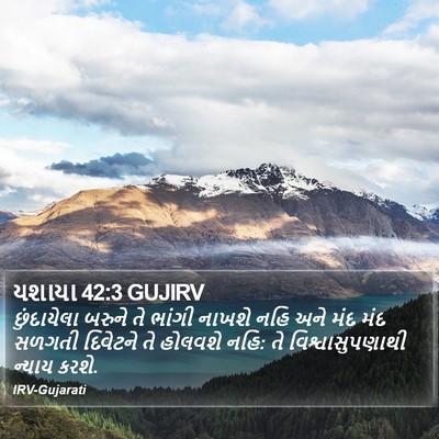 યશાયા 42:3 GUJIRV Bible Verse Image