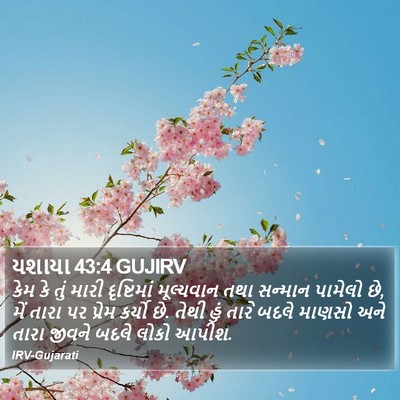 યશાયા 43:4 GUJIRV Bible Verse Image