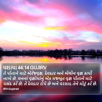 યશાયા 44:14 GUJIRV Bible Verse Image