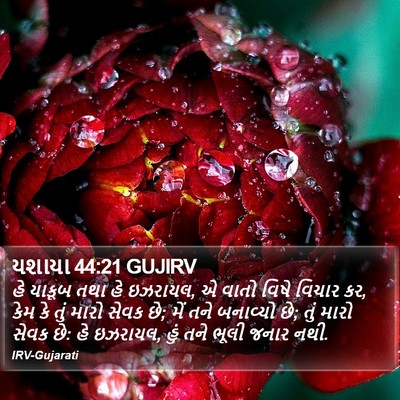 યશાયા 44:21 GUJIRV Bible Verse Image