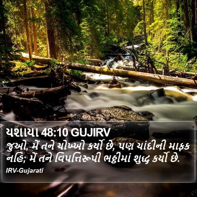 યશાયા 48:10 GUJIRV Bible Verse Image