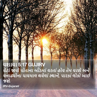 યશાયા 5:17 GUJIRV Bible Verse Image