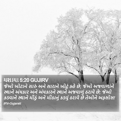યશાયા 5:20 GUJIRV Bible Verse Image