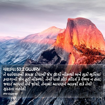યશાયા 53:2 GUJIRV Bible Verse Image