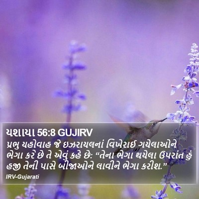 યશાયા 56:8 GUJIRV Bible Verse Image