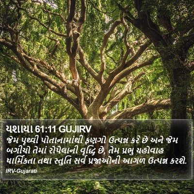 યશાયા 61:11 GUJIRV Bible Verse Image