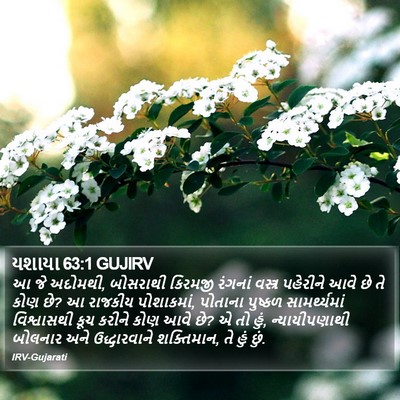 યશાયા 63:1 GUJIRV Bible Verse Image