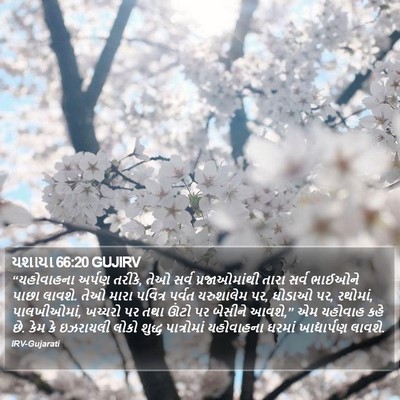 યશાયા 66:20 GUJIRV Bible Verse Image