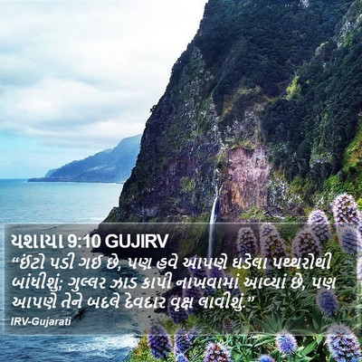 યશાયા 9:10 GUJIRV Bible Verse Image