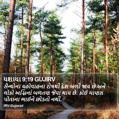 યશાયા 9:19 GUJIRV Bible Verse Image