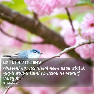 યશાયા 9:2 GUJIRV Bible Verse Image
