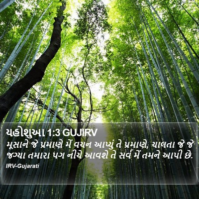 યહોશુઆ 1:3 GUJIRV Bible Verse Image