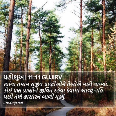 યહોશુઆ 11:11 GUJIRV Bible Verse Image