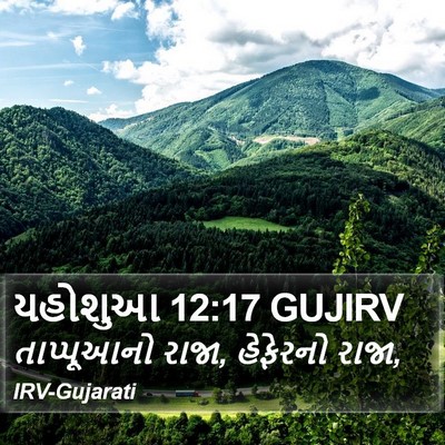 યહોશુઆ 12:17 GUJIRV Bible Verse Image