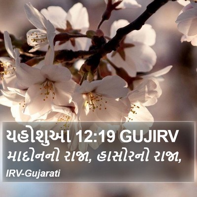 યહોશુઆ 12:19 GUJIRV Bible Verse Image