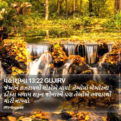 યહોશુઆ 13:22 GUJIRV Bible Verse Image