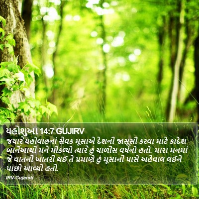 યહોશુઆ 14:7 GUJIRV Bible Verse Image
