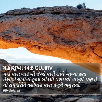 યહોશુઆ 14:8 GUJIRV Bible Verse Image