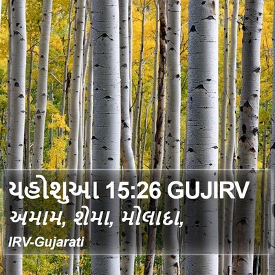 યહોશુઆ 15:26 GUJIRV Bible Verse Image