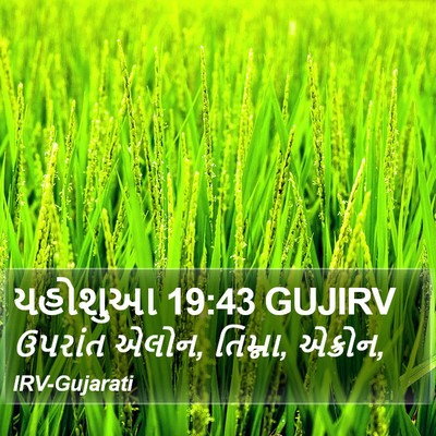 યહોશુઆ 19:43 GUJIRV Bible Verse Image