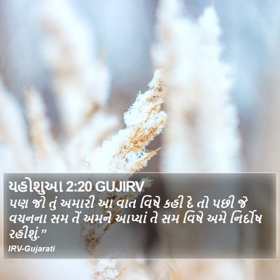 યહોશુઆ 2:20 GUJIRV Bible Verse Image