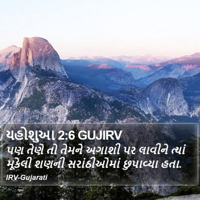 યહોશુઆ 2:6 GUJIRV Bible Verse Image