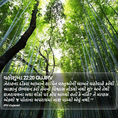 યહોશુઆ 22:20 GUJIRV Bible Verse Image